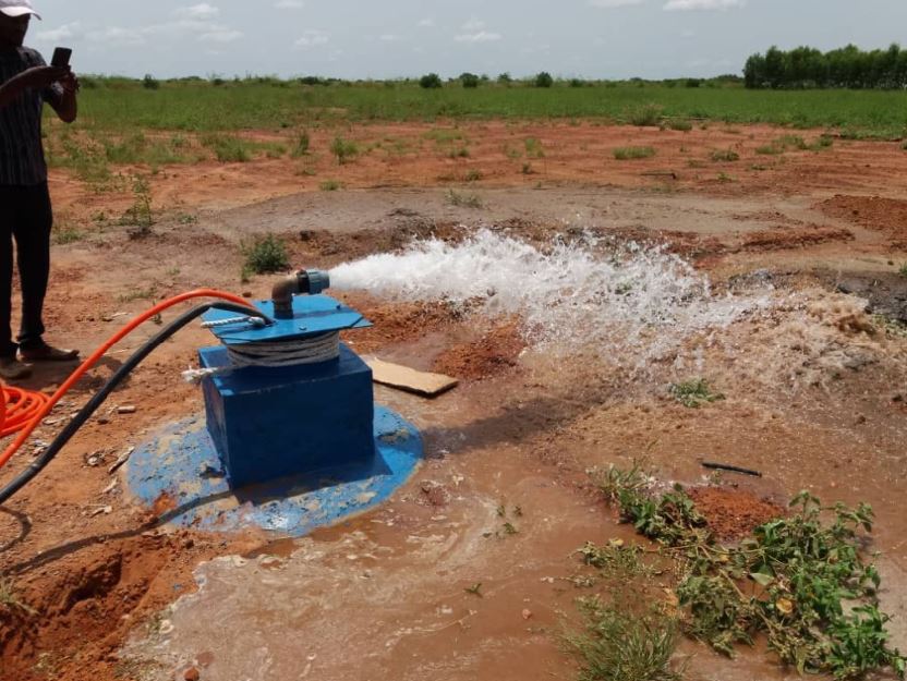 Pompage solaire au Niger pour 30 hectares de maraîchage en irrigation