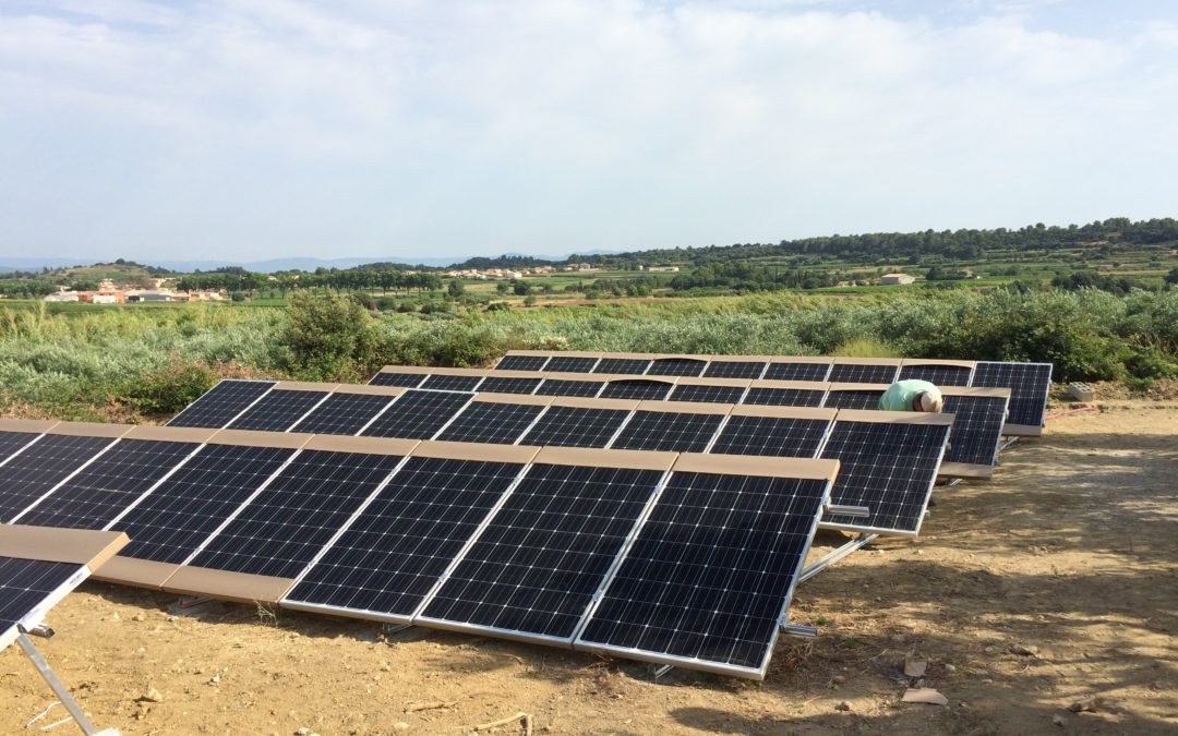 Le pompage solaire pour l’irrigation de plusieurs parcelles d’oliviers en Provence