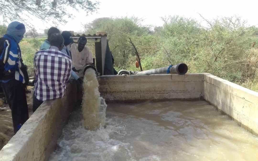 Pompage solaire irrigation grand débit en Mauritanie